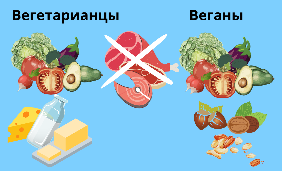 Веган и вегетарианец: отличия в питании | Блог Вилки Палки
