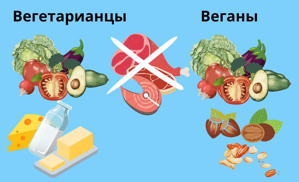 Основные причины, почему вегетарианцы не едят мясо